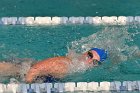 Swimming vs Babson  Wheaton College Swimming vs Babson College. - Photo By: KEITH NORDSTROM : Wheaton, Swimming, Babson